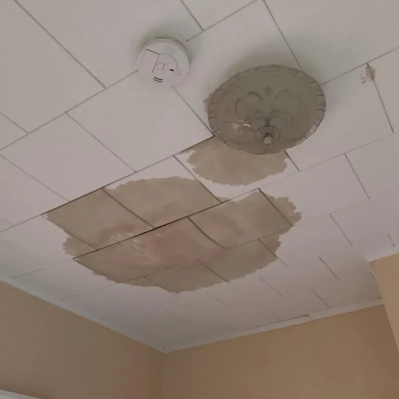 Ceiling Water Damage Repair in Stanley, WI