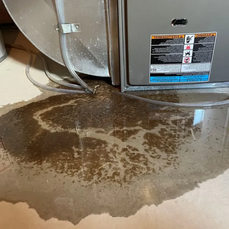 Pipe Burst and Leak Restoration in Stanley, WI