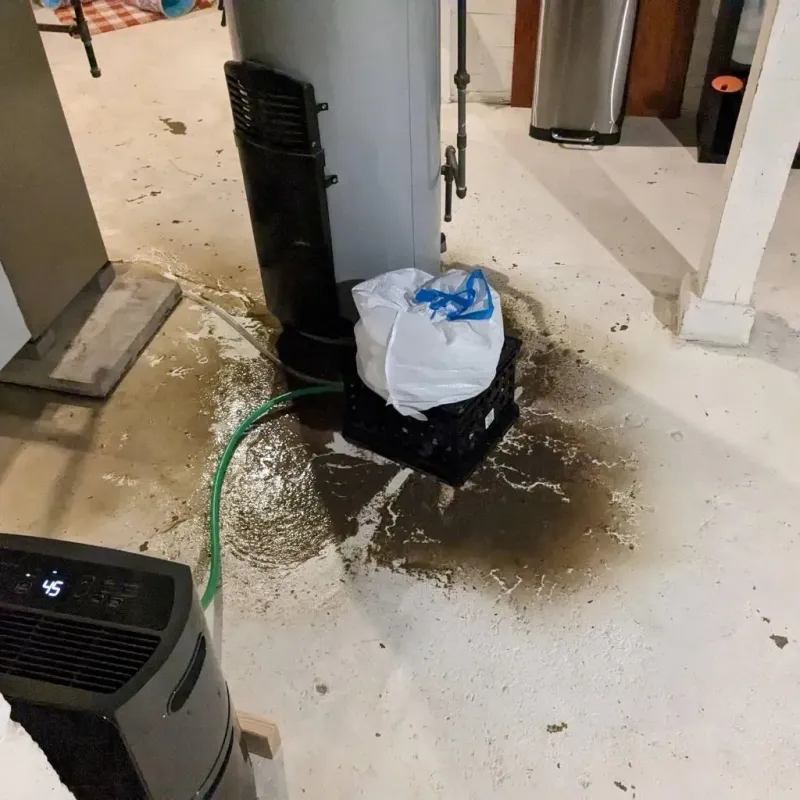 Sewage Backup Cleanup Service in Stanley, WI